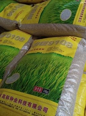 正宗南粳9108稻种高产优质水稻种子软糯清香大米种子出厂价