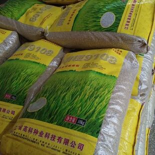 正宗南粳9108稻种高产优质水稻种子软糯清香大米种子出厂价