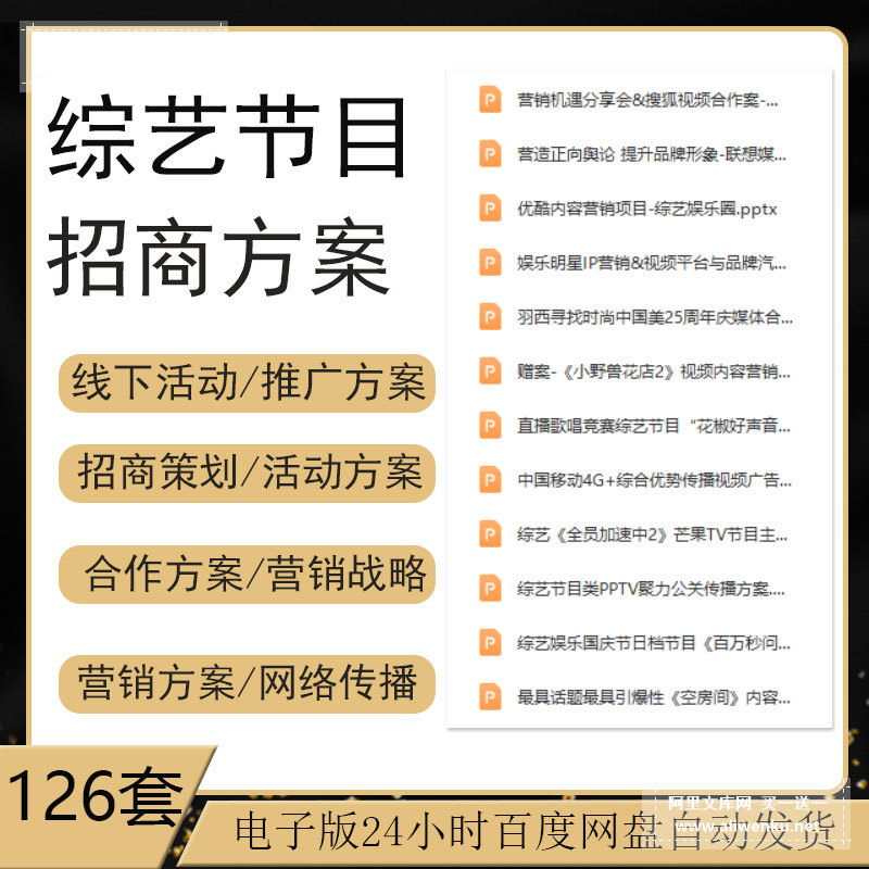 综艺节目招商策划活动营销推广跨界合作品牌设计制作方案PPT模板