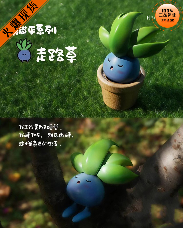 【李小西弟弟】胡萝卜走路草