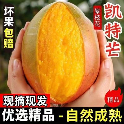 彩箱正宗凯特芒大果新鲜凯特芒果青皮热带新鲜水果当季大脸芒整箱