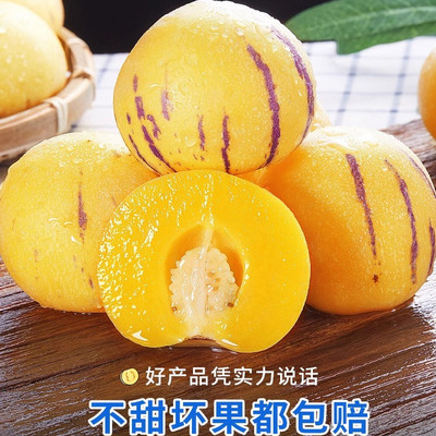 云南石林人参果黄果10斤大果新鲜人叁果水果黄肉圆果人生果甜包邮