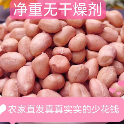 【特惠价】新鲜花生米大颗粒农家生花生米散装去壳花生白沙便宜