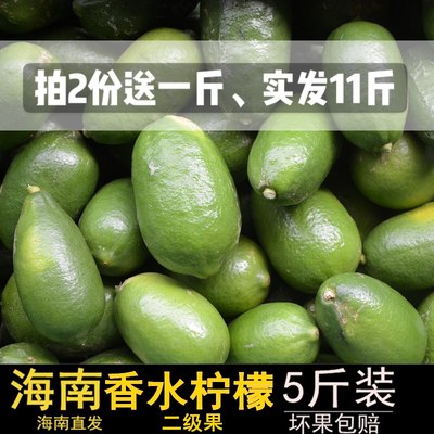 海南新鲜无籽香水柠檬热带水果