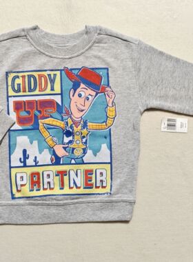 100-160 贵牌dsn乐园款 男童女童玩具总动员胡迪卫衣外贸原单童装