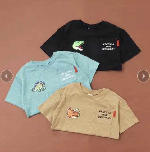 80-140 日单 br 男童恐龙印花天竺棉纯棉短袖T恤外贸原单童装,童装/婴儿装/亲子装,T恤,淘宝优惠券,粉丝福利购,淘宝优惠卷