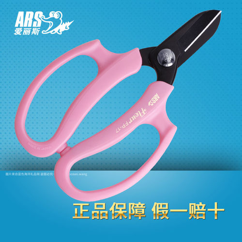 日本爱丽斯进口 ARS FP-17 花卉园艺工具花艺师剪插花盆景剪刀