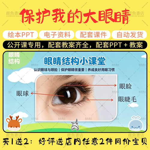 【保护我的大眼睛】公开课PPT教案小班健康幼儿园老师配套课件
