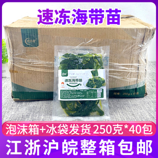 年货顺协盈海带苗250g 40包火锅食材凉拌菜盐渍嫩海带冷冻半成品