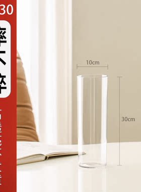 {主播专用花瓶}高30cm口径10cm透明水培插花花瓶高级装饰客厅摆件