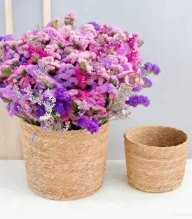 【勿忘我专用花篮】北欧风草编花盆可用于diy收纳及客厅阳台装饰