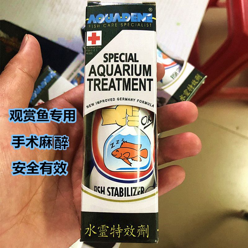 观赏鱼龙鱼外用专用镇定剂麻醉鱼药安定麻稳定手术掉眼用鱼缸药