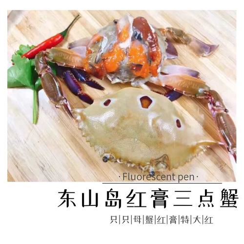 东山岛海鲜野生鲜活海螃蟹 红膏母蟹全母蟹梭子蟹螃蟹三点蟹