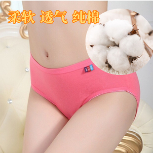 紫红天5070女内裤 6条 正品 纯棉女三角裤 包邮 买10送1吸汗纯中腰内裤