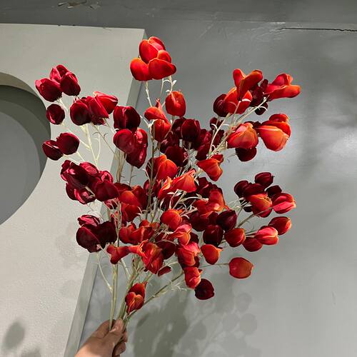 红色插花素材婚庆花墙插花姑娘花