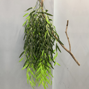 仿真柳树枝条垂柳柳条室内造型树装饰假树柳树枝橱窗道具绿造景