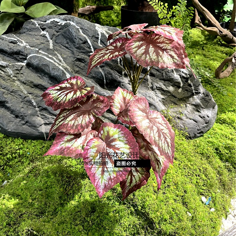仿真盆栽海芋叶植物墙配材