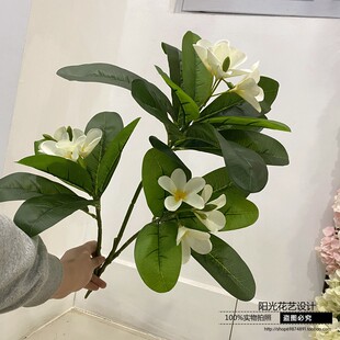 仿真鸡蛋花枝软装插花素材大树装饰品陈列家居摆放花艺假树枝花束