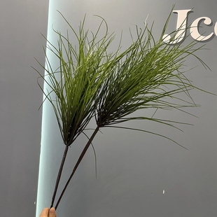 仿真散沙灯芯草喷泉草细草造景素材芦苇草婚庆装饰洋葱草菖蒲草