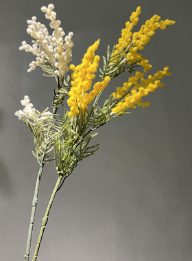 金合欢 现代金黄色合欢花毛绒质感婚庆摄影家装花艺造景装饰插花