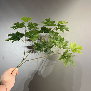 仿真树叶梧桐叶白桦树叶胡杨叶红枫叶银杏叶 冬季树木装饰假树叶