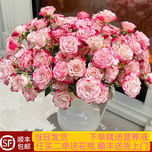 包邮 50朵花10支多头玫瑰泡泡折射玫瑰花鲜切花顺丰 当日发货