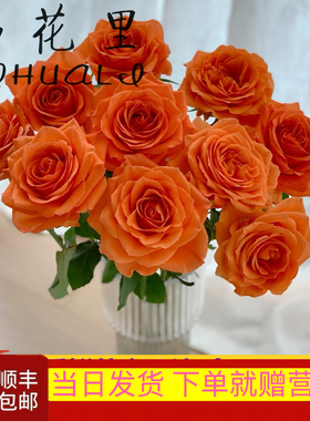 当日顺丰发货 心想事橙单头玫瑰橙色系鲜切花顺丰包邮送花上门