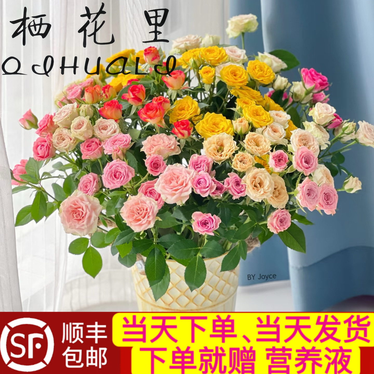 当天顺丰发货 10支40-50朵花混色多头玫瑰泡泡情人节鲜花顺丰包邮