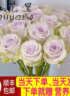当天顺丰发货 10支海洋之心紫色系单头玫瑰家居生活鲜花顺丰包邮