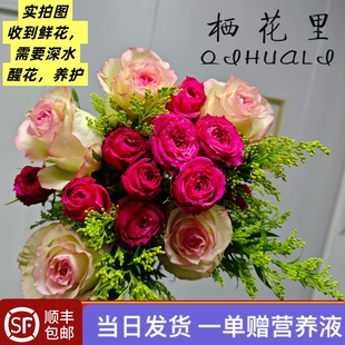 当日顺丰发货 艾莎公主玫瑰苏菲宝贝多头玫瑰配草混搭组合花束