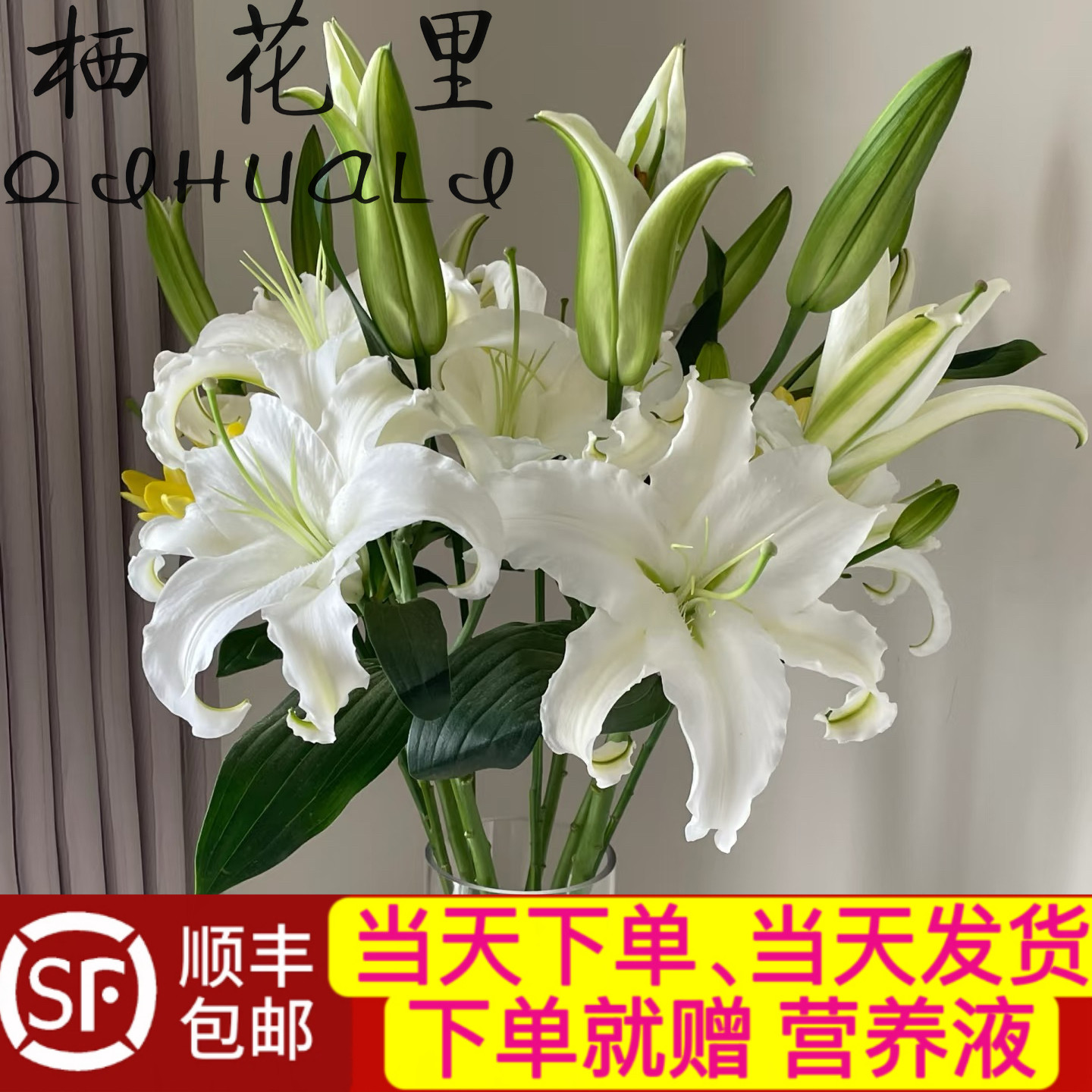 当天发货顺丰包邮七夕情人节鲜花