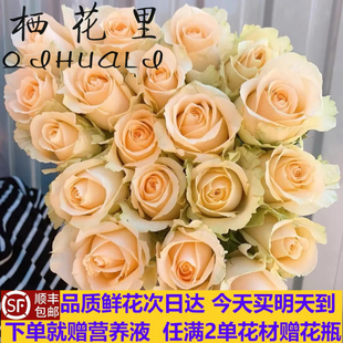 当日顺丰发货10支香槟色蜜桃雪山玫瑰鲜花鲜切花顺丰包邮送花上门