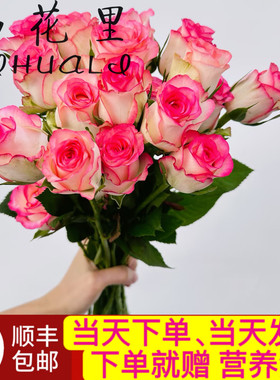 当日顺丰发货10支艾莎公主玫瑰爱莎小公主鲜切花顺丰包邮次日达