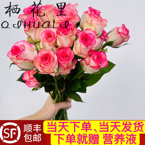 当日顺丰发货10支艾莎公主玫瑰爱莎小公主鲜切花顺丰包邮送花上门