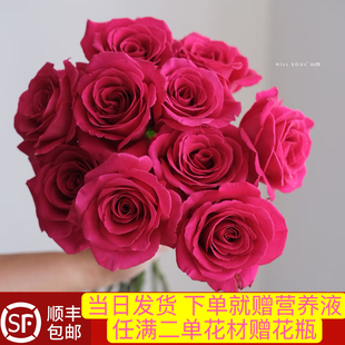 当日发货 10支弗洛伊德玫瑰花鲜花鲜切花顺丰包邮送货上门