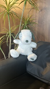 75周年联名限定史努比玩偶 peanuts Kith