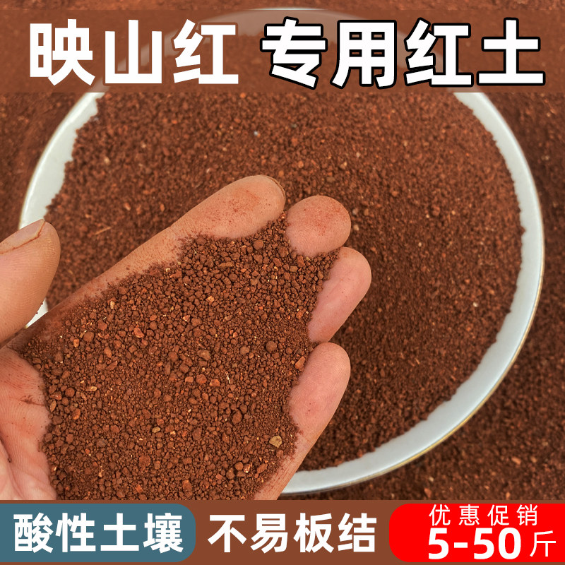 映山红专用土弱酸性盆栽红土颗粒