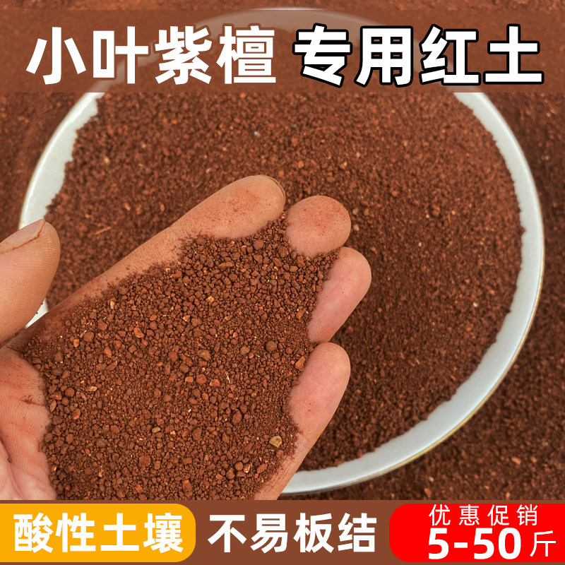 小叶紫檀专用酸性红土颗粒盆栽土