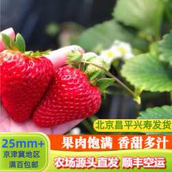 红颜草莓北京昌平兴寿农场自产头茬甜草莓大果首批大棚绿色种植