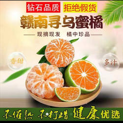 《寻乌蜜桔》桔子高山红土种植我是果农现摘现发原味蜜桔