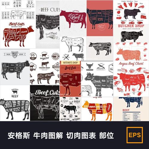 安格斯 牛肉图解 切肉图表 部位 ai矢量图设计素材