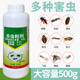 灭蟑螂跳蚤药杀虫剂全窝端家用防蜈蚣蚂蚁除潮虫马陆六六杀虫粉剂