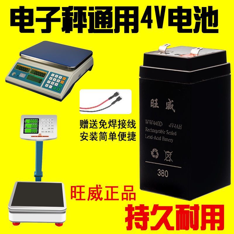 旺威4V4AH/20HR电子秤台称电池电瓶蓄电池童车玩具汽车充电器