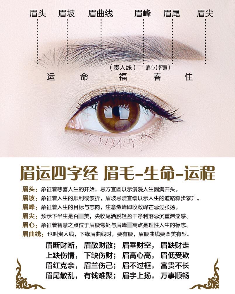 770眉形纹绣眉毛眉运四字经美睫毛微雕801海报印制展板写真墙贴