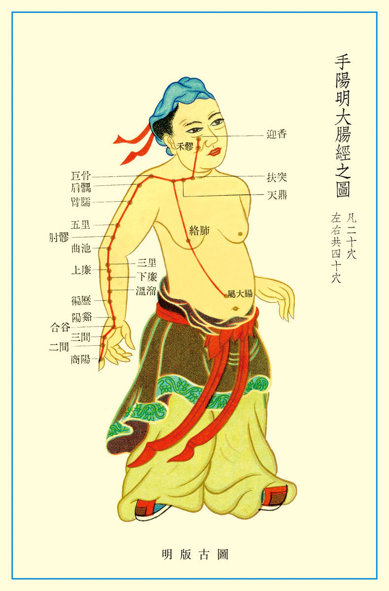 569居家海报展板喷绘贴纸图片232手阳明大肠经穴位图