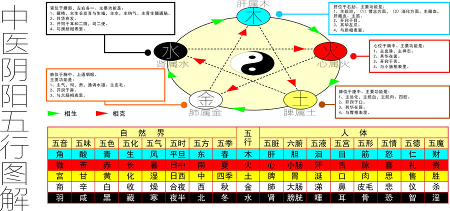 753薄膜海报印制喷绘素材贴纸图片294中医阴阳五行图解金木水火土