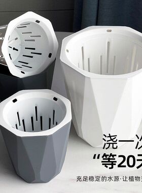 懒人自动吸水花盆绿萝兰花专用