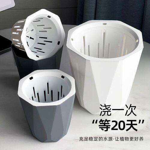 懒人自动吸水花盆绿萝兰花专用