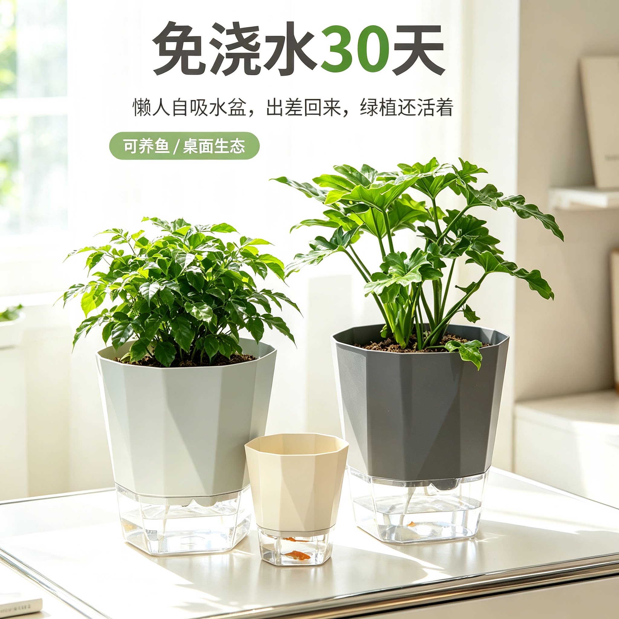 26.5cm水培花盆吊兰绿萝文竹水仙