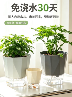 26.5cm水培花盆吊兰绿萝文竹水仙